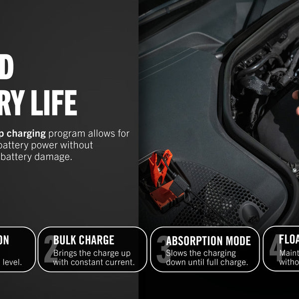Power Tender® 3 Amp 12V/6V Battery Charger and Maintainer