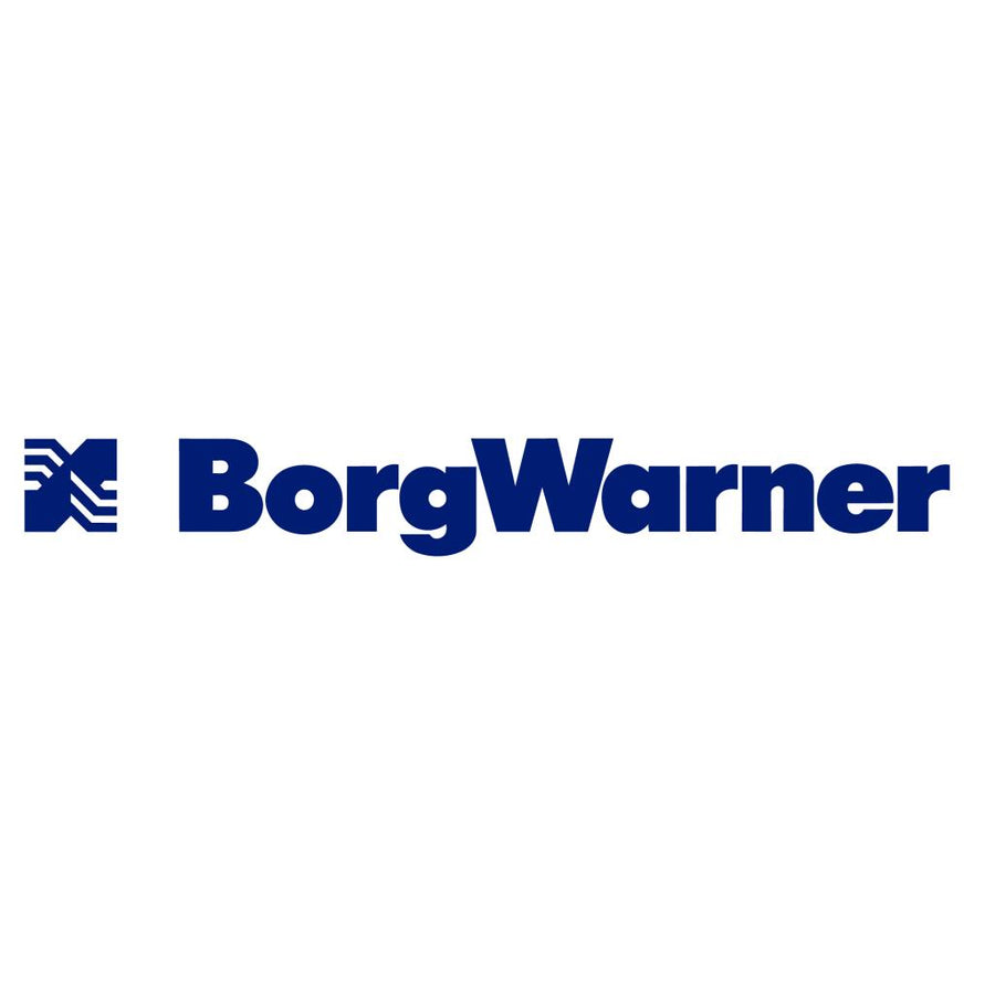 BORGWARNER 57739900001 REM TURBOCHARGER